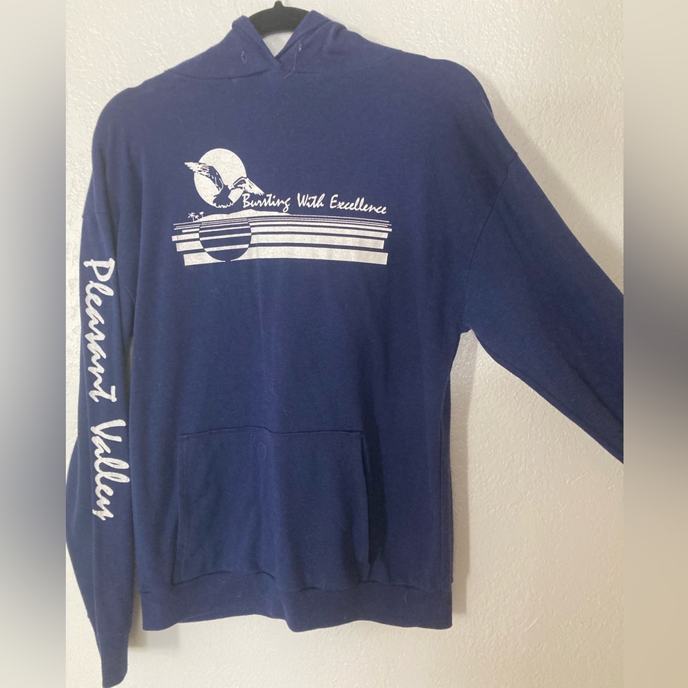 Vintage thin soft hoodie - M - Pleasant Valley - Bursting With Excellence